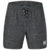 Picture Piau 15 - Boardshort