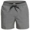 Quiksilver Everyday Deluxe Volley 15 - Short De Bain