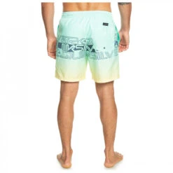 Quiksilver Everyday Wordblock Volley 17 - Short De Bain